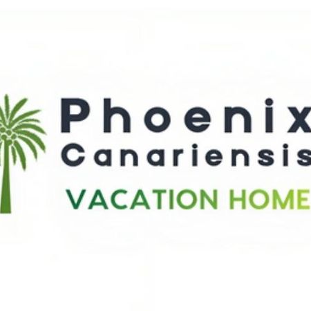 Phoenix Canariensis San Juan de la Rambla Exterior foto