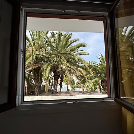 Phoenix Canariensis San Juan de la Rambla Exterior foto