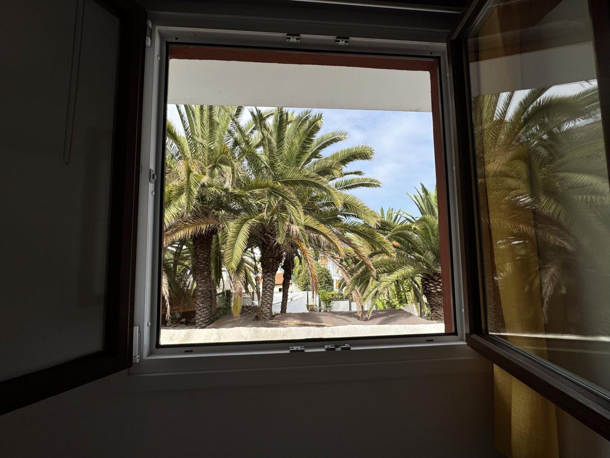 Phoenix Canariensis San Juan de la Rambla Exterior foto